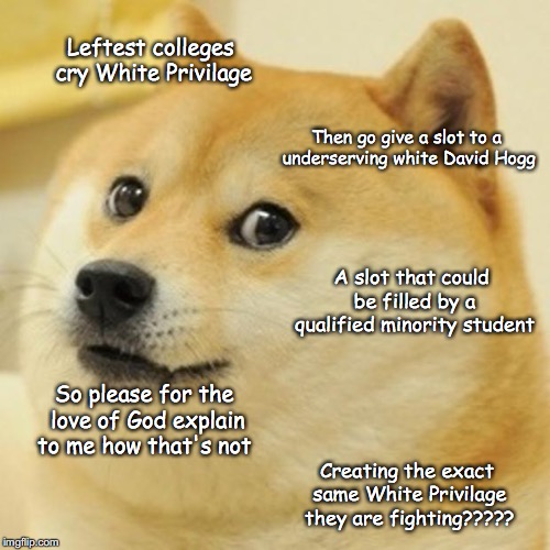 Doge | Leftest colleges cry White Privilage; Then go give a slot to a underserving white David Hogg; A slot that could be filled by a qualified minority student; So please for the love of God explain to me how that's not; Creating the exact same White Privilage they are fighting????? | image tagged in memes,doge | made w/ Imgflip meme maker