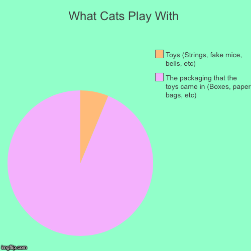 What Cats Play With | The packaging that the toys came in (Boxes, paper bags, etc), Toys (Strings, fake mice, bells, etc) | image tagged in funny,pie charts | made w/ Imgflip chart maker