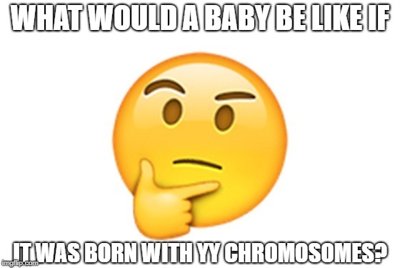 YY | WHAT WOULD A BABY BE LIKE IF; IT WAS BORN WITH YY CHROMOSOMES? | image tagged in thinking emoji,chromosomes,xx,xy,yy | made w/ Imgflip meme maker
