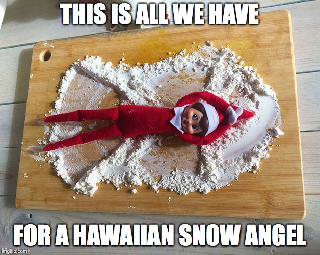 yes, there are some down sides, to live here | THIS IS ALL WE HAVE; FOR A HAWAIIAN SNOW ANGEL | image tagged in snow,elf on the shelf,hawaii | made w/ Imgflip meme maker