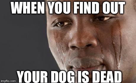 Crying guy | WHEN YOU FIND OUT; YOUR DOG IS DEAD | image tagged in crying guy | made w/ Imgflip meme maker