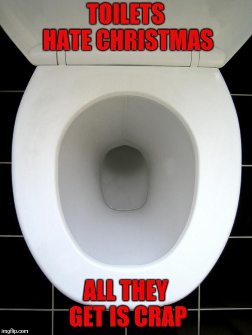 TOILET | TOILETS HATE CHRISTMAS; ALL THEY GET IS CRAP | image tagged in toilet,christmas,funny memes,fun,oh crap | made w/ Imgflip meme maker