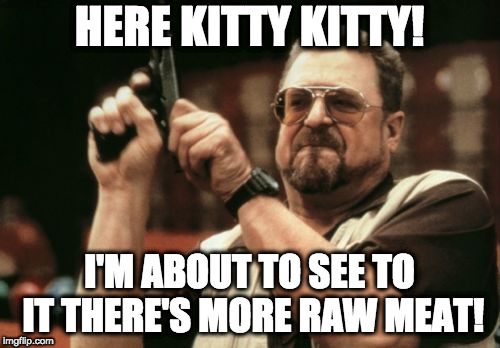 Am I The Only One Around Here Meme | HERE KITTY KITTY! I'M ABOUT TO SEE TO IT THERE'S MORE RAW MEAT! | image tagged in memes,am i the only one around here | made w/ Imgflip meme maker