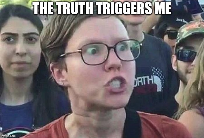 Triggered Liberal | THE TRUTH TRIGGERS ME | image tagged in triggered liberal | made w/ Imgflip meme maker