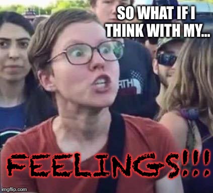 Angry Liberal | SO WHAT IF I THINK WITH MY... FEELINGS!!! | image tagged in angry liberal | made w/ Imgflip meme maker