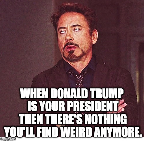 RDJ boring | WHEN DONALD TRUMP IS YOUR PRESIDENT THEN THERE'S NOTHING YOU'LL FIND WEIRD ANYMORE. | image tagged in rdj boring | made w/ Imgflip meme maker