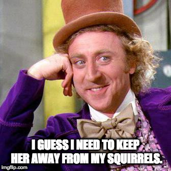 Willy Wonka Blank | I GUESS I NEED TO KEEP HER AWAY FROM MY SQUIRRELS. | image tagged in willy wonka blank | made w/ Imgflip meme maker