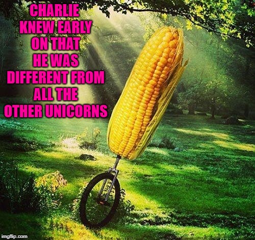 Sometimes you just have to embrace your differences!!! | CHARLIE KNEW EARLY ON THAT HE WAS DIFFERENT FROM ALL THE OTHER UNICORNS | image tagged in unicorn,memes,corn,unicycle,funny,good luck | made w/ Imgflip meme maker