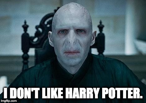 Lord Voldemort | I DON'T LIKE HARRY POTTER. | image tagged in lord voldemort | made w/ Imgflip meme maker