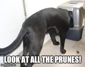 LOOK AT ALL THE PRUNES! | made w/ Imgflip meme maker