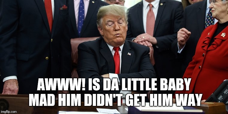 Memes | AWWW! IS DA LITTLE BABY MAD HIM DIDN'T GET HIM WAY | image tagged in donald trump approves | made w/ Imgflip meme maker