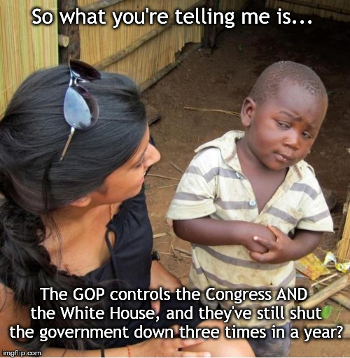 Skeptical third world kid | So what you're telling me is... The GOP controls the Congress AND the White House, and they've still shut the government down three times in a year? | image tagged in skeptical third world kid | made w/ Imgflip meme maker