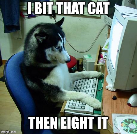 I Have No Idea What I Am Doing Meme | I BIT THAT CAT THEN EIGHT IT | image tagged in memes,i have no idea what i am doing | made w/ Imgflip meme maker