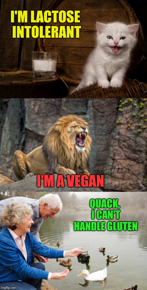 Things You Never See In Nature | I'M LACTOSE INTOLERANT; I'M A VEGAN; QUACK, I CAN'T HANDLE GLUTEN | image tagged in allergies,gluten,lactose intolerant,veganism,animal meme | made w/ Imgflip meme maker