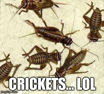 Crickets | CRICKETS... LOL | image tagged in crickets | made w/ Imgflip meme maker