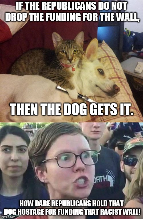how shutdown work | IF THE REPUBLICANS DO NOT DROP THE FUNDING FOR THE WALL, THEN THE DOG GETS IT. HOW DARE REPUBLICANS HOLD THAT DOG HOSTAGE FOR FUNDING THAT RACIST WALL! | image tagged in dog hostage,triggered liberal | made w/ Imgflip meme maker