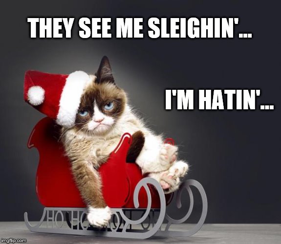 Tryin' to catch him carin' |  THEY SEE ME SLEIGHIN'... I'M HATIN'... | image tagged in grumpy cat christmas hd,chamillionaire,ridin',they see me rollin',sled,memes | made w/ Imgflip meme maker