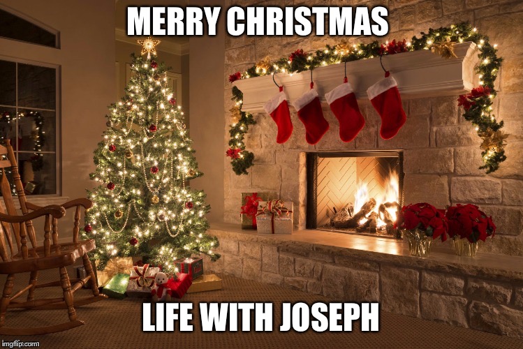 Merry Christmas | MERRY CHRISTMAS; LIFE WITH JOSEPH | image tagged in merry christmas | made w/ Imgflip meme maker