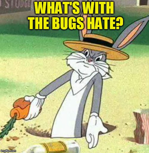 Bugs Bunny  | WHAT'S WITH THE BUGS HATE? | image tagged in bugs bunny | made w/ Imgflip meme maker