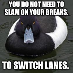 Angry Advice Mallard | YOU DO NOT NEED TO SLAM ON YOUR BREAKS. TO SWITCH LANES. | image tagged in angry advice mallard,AdviceAnimals | made w/ Imgflip meme maker