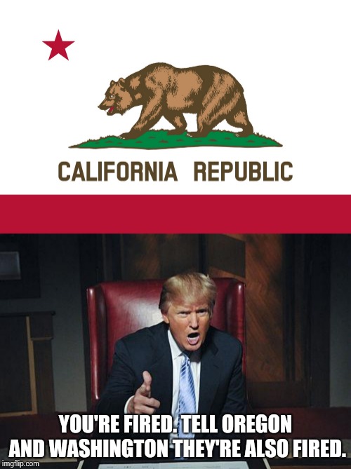 YOU'RE FIRED. TELL OREGON AND WASHINGTON THEY'RE ALSO FIRED. | image tagged in donald trump you're fired,california flag | made w/ Imgflip meme maker