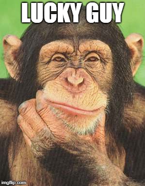 chimpanzee thinking | LUCKY GUY | image tagged in chimpanzee thinking | made w/ Imgflip meme maker