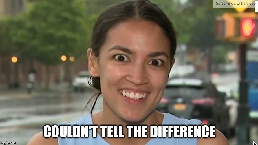 Alexandria Ocasio-Cortez | COULDN'T TELL THE DIFFERENCE | image tagged in alexandria ocasio-cortez | made w/ Imgflip meme maker