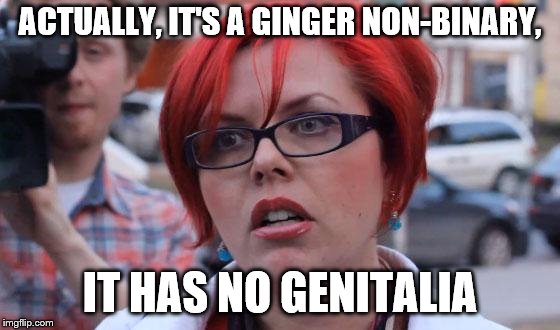 Angry Feminist | ACTUALLY, IT'S A GINGER NON-BINARY, IT HAS NO GENITALIA | image tagged in angry feminist | made w/ Imgflip meme maker