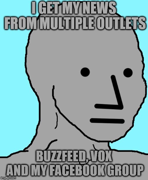 NPC Meme | I GET MY NEWS FROM MULTIPLE OUTLETS BUZZFEED, VOX AND MY FACEBOOK GROUP | image tagged in memes,npc | made w/ Imgflip meme maker