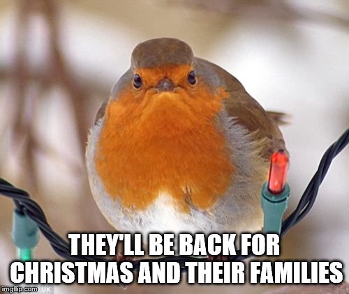 Bah Humbug Meme | THEY'LL BE BACK FOR CHRISTMAS AND THEIR FAMILIES | image tagged in memes,bah humbug | made w/ Imgflip meme maker