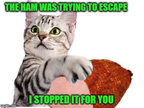 Paws off the ham | THE HAM WAS TRYING TO ESCAPE; I STOPPED IT FOR YOU | image tagged in funny memes,cat,foods,holiday dinner,christmas | made w/ Imgflip meme maker