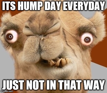 ITS HUMP DAY EVERYDAY JUST NOT IN THAT WAY | made w/ Imgflip meme maker