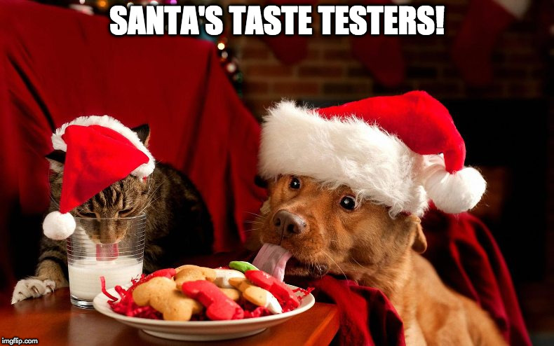 pet tasters | SANTA'S TASTE TESTERS! | image tagged in pets | made w/ Imgflip meme maker