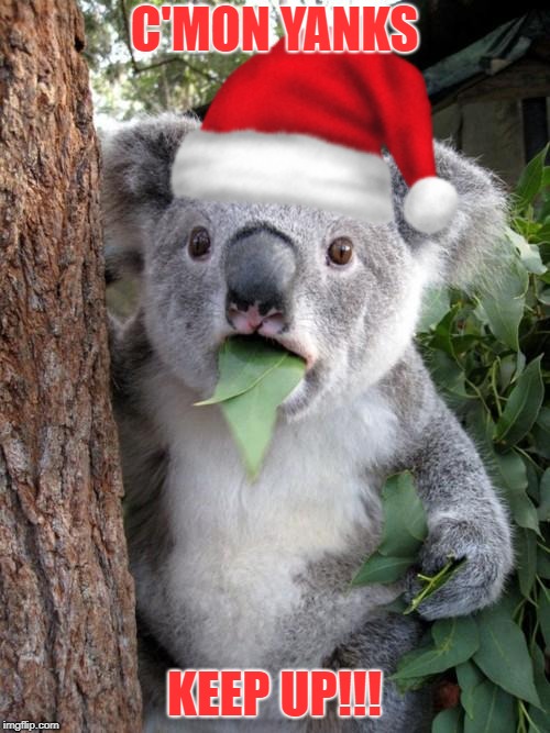 Surprised Koala Meme | C'MON YANKS KEEP UP!!! | image tagged in memes,surprised koala | made w/ Imgflip meme maker