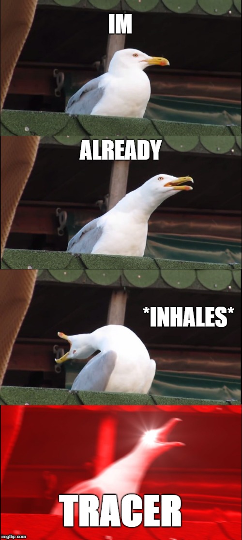 Inhaling Seagull Meme | IM; ALREADY; *INHALES*; TRACER | image tagged in memes,inhaling seagull | made w/ Imgflip meme maker