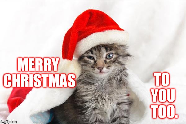 MERRY CHRISTMAS TO YOU  TOO. | made w/ Imgflip meme maker