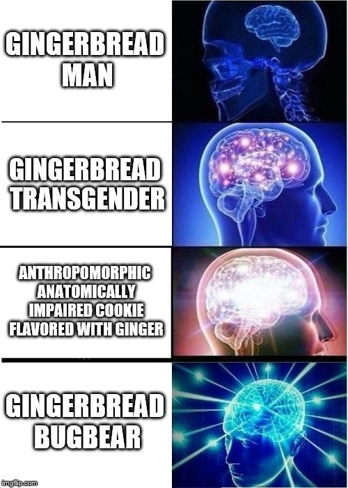 Expanding Brain Meme | GINGERBREAD MAN GINGERBREAD TRANSGENDER ANTHROPOMORPHIC ANATOMICALLY IMPAIRED COOKIE FLAVORED WITH GINGER GINGERBREAD BUGBEAR | image tagged in memes,expanding brain | made w/ Imgflip meme maker