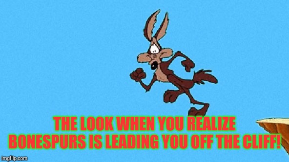 Lead on bonespurs!  | THE LOOK WHEN YOU REALIZE BONESPURS IS LEADING YOU OFF THE CLIFF! | image tagged in wiley coyote,the base,donald trump,republicans | made w/ Imgflip meme maker