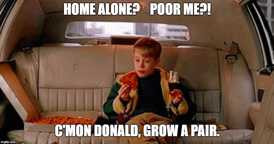 Grow a pair Donald | HOME ALONE?    POOR ME?! C'MON DONALD, GROW A PAIR. | image tagged in donald trump | made w/ Imgflip meme maker