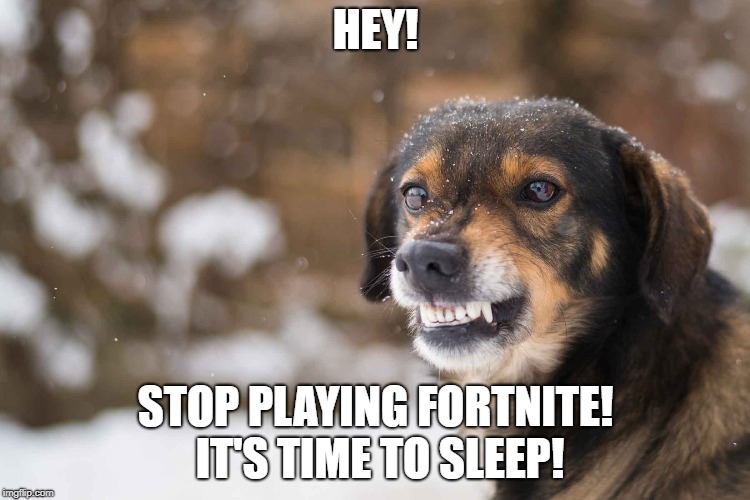 When somebody finds you playing Fortnite all night. | HEY! STOP PLAYING FORTNITE! IT'S TIME TO SLEEP! | image tagged in dogs,dog growling,no fortnite | made w/ Imgflip meme maker