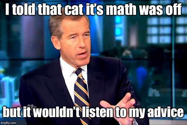 Brian Williams Was There 2 Meme | I told that cat it’s math was off but it wouldn’t listen to my advice | image tagged in memes,brian williams was there 2 | made w/ Imgflip meme maker