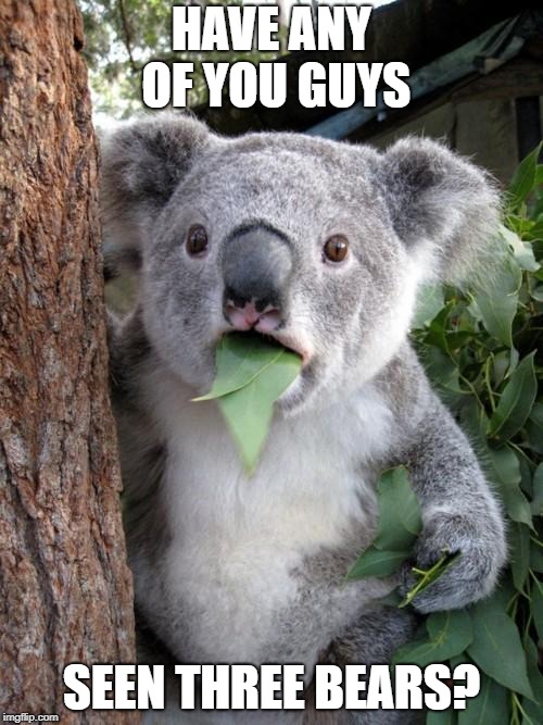 Nom nom nom... | HAVE ANY OF YOU GUYS; SEEN THREE BEARS? | image tagged in memes,surprised koala,we bare bears,nom nom nom | made w/ Imgflip meme maker