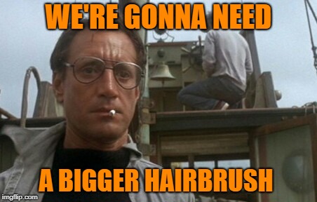 We're gonna need a bigger boat | WE'RE GONNA NEED A BIGGER HAIRBRUSH | image tagged in we're gonna need a bigger boat | made w/ Imgflip meme maker