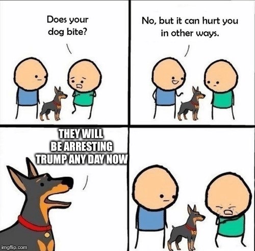 does your dog bite | THEY WILL BE ARRESTING TRUMP ANY DAY NOW | image tagged in does your dog bite | made w/ Imgflip meme maker