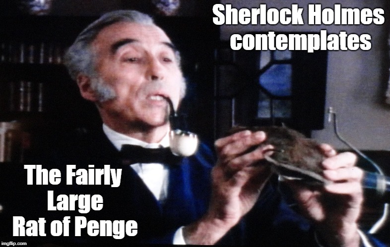Sherlock Holmes and Rat | Sherlock Holmes contemplates; The Fairly Large Rat of Penge | image tagged in christopher lee,sherlock holmes,rat,penge | made w/ Imgflip meme maker