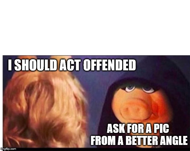 Dark Miss Piggy | I SHOULD ACT OFFENDED ASK FOR A PIC FROM A BETTER ANGLE | image tagged in dark miss piggy | made w/ Imgflip meme maker