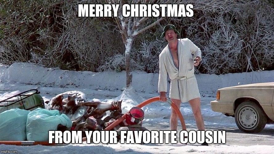 Cousin Eddie | MERRY CHRISTMAS; FROM YOUR FAVORITE COUSIN | image tagged in cousin eddie | made w/ Imgflip meme maker