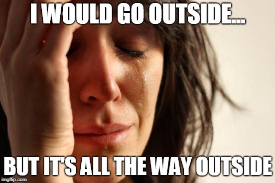 First World Problems | I WOULD GO OUTSIDE... BUT IT'S ALL THE WAY OUTSIDE | image tagged in memes,first world problems | made w/ Imgflip meme maker