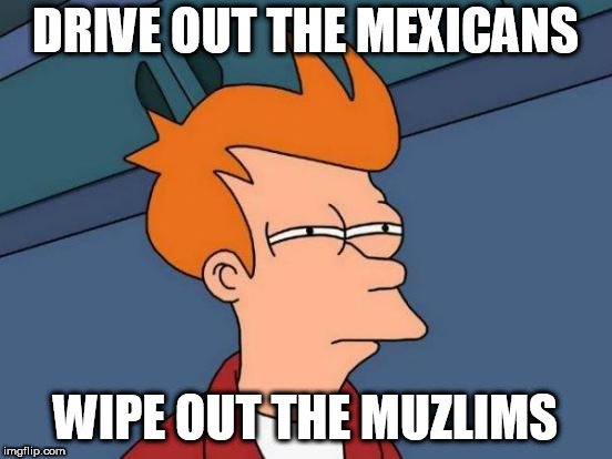 Futurama Fry Meme | DRIVE OUT THE MEXICANS; WIPE OUT THE MUZLIMS | image tagged in memes,futurama fry | made w/ Imgflip meme maker