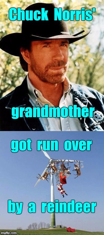 Santa May Be a Bit Late | Chuck Norris'; got run over; grandmother; by a reindeer | image tagged in chuck norris,santa claus,reindeer | made w/ Imgflip meme maker